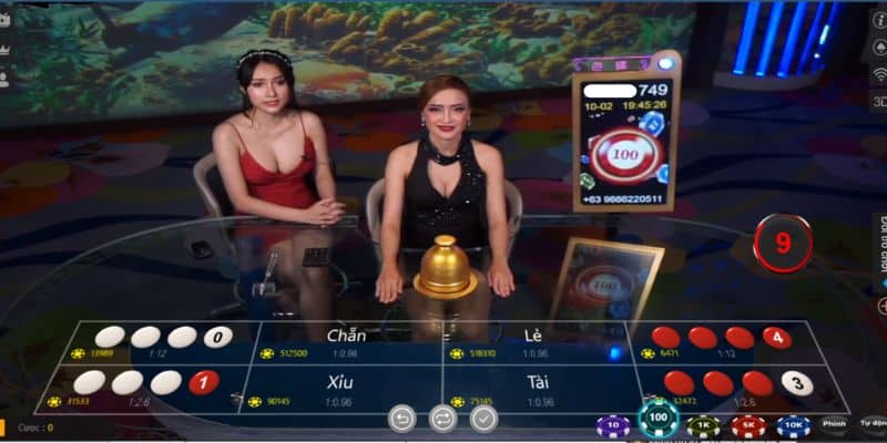 Hướng Dẫn Luật Chơi Xóc Đĩa Cho Người Mới 3 Quy trình đánh một ván trong luật chơi xóc đĩa